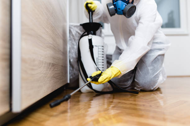 Trusted Lincoln, AL Pest Control Experts