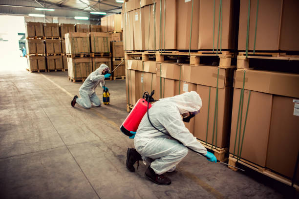Best Termite Control Services  in Lincoln, AL