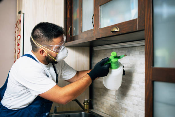 Best Affordable Pest Control Services  in Lincoln, AL