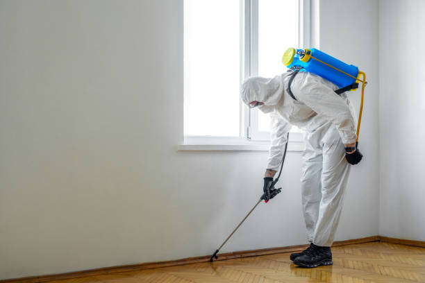 Best Commercial Pest Control Services  in Lincoln, AL