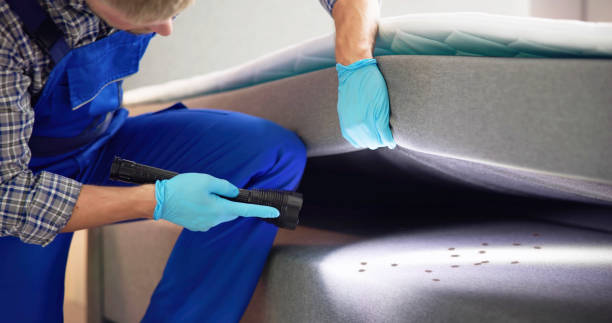 Best Bed Bug Extermination  in Lincoln, AL