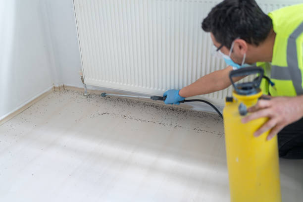 Best Cockroach Control Services  in Lincoln, AL