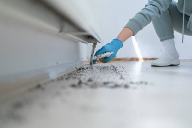 Best Pest Inspection Near Me  in Lincoln, AL