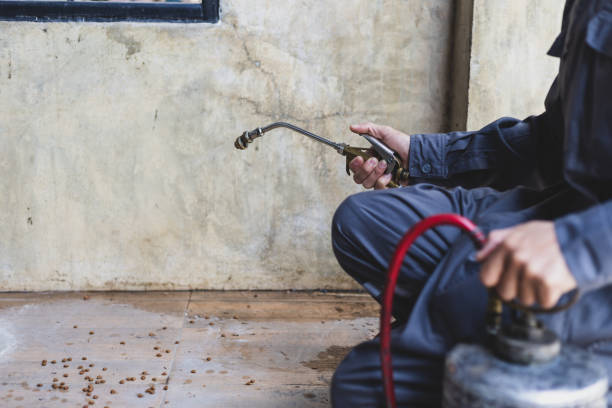 Best Mosquito Control Services  in Lincoln, AL